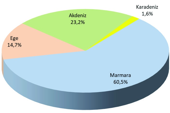 Şekil 4. Bölgeler itibarı ile konteyner elleçleme oranları (Türklim, 2020).