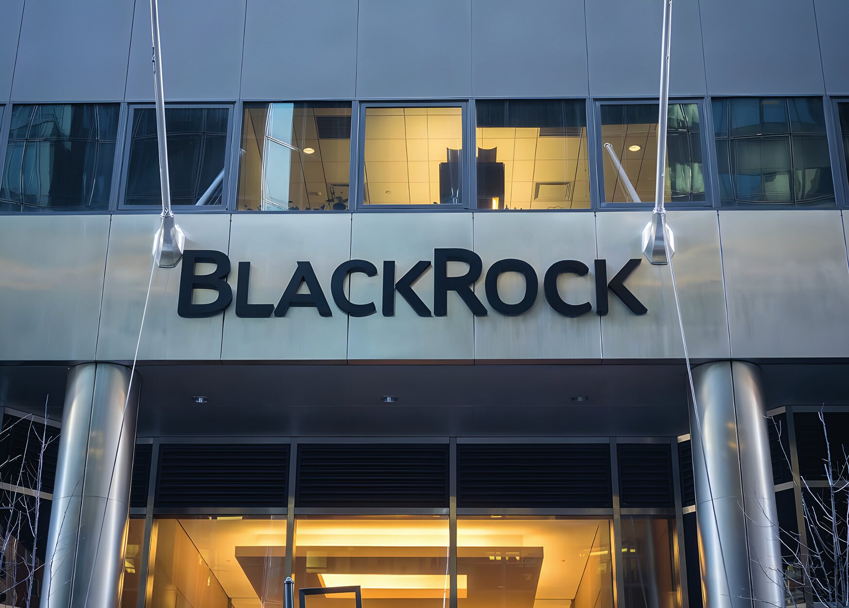 “Shadow banks, BlackRock & Co., and new monopolies must be truly regulated, unbundled, nationalized, and transferred to common ownership” (Photo: China Daily, 2021).
