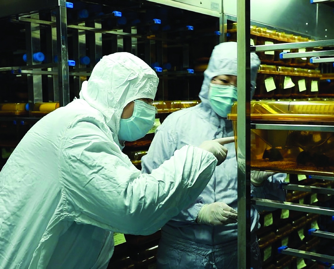 Scientists conduct clinical researches for vaccine against COVID-19. (CGTN, 2020)