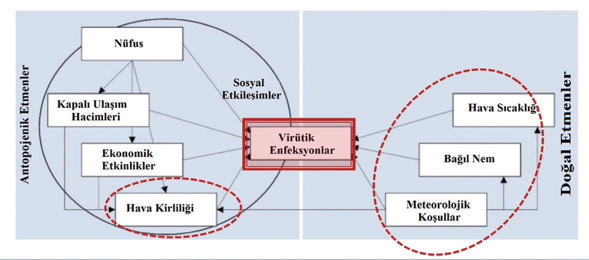 Şekil 5. Virütik enfeksiyonlarda antropojenik ve doğal etmenler. Şekil orijinali: (Copiello & Grillenzoni, 2020)