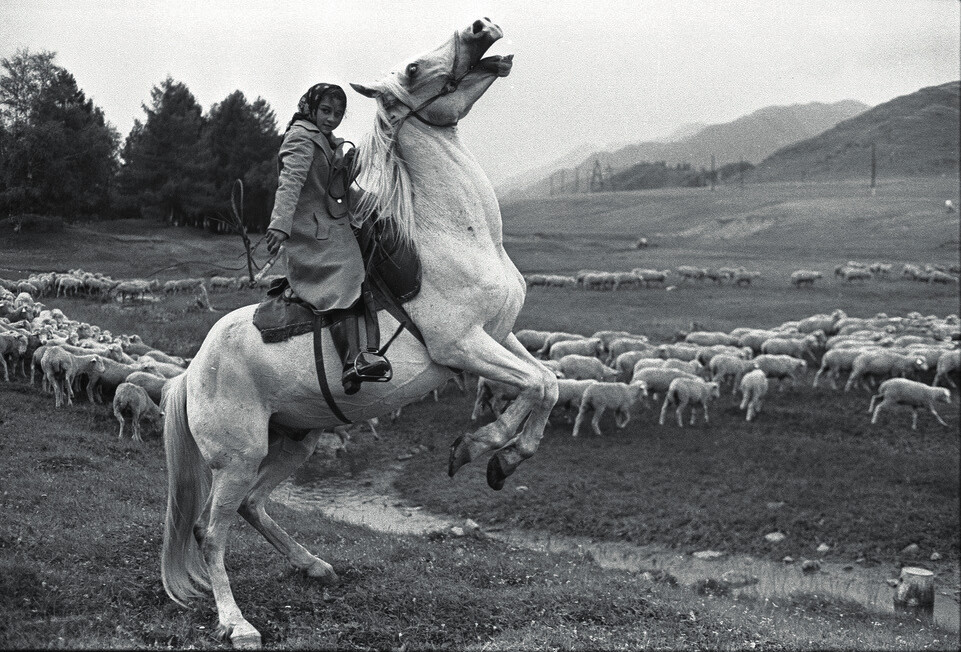 A Gypsy Girl tending sheep, Gorno-Altai Autonomous Oblast, July 30, 1980.