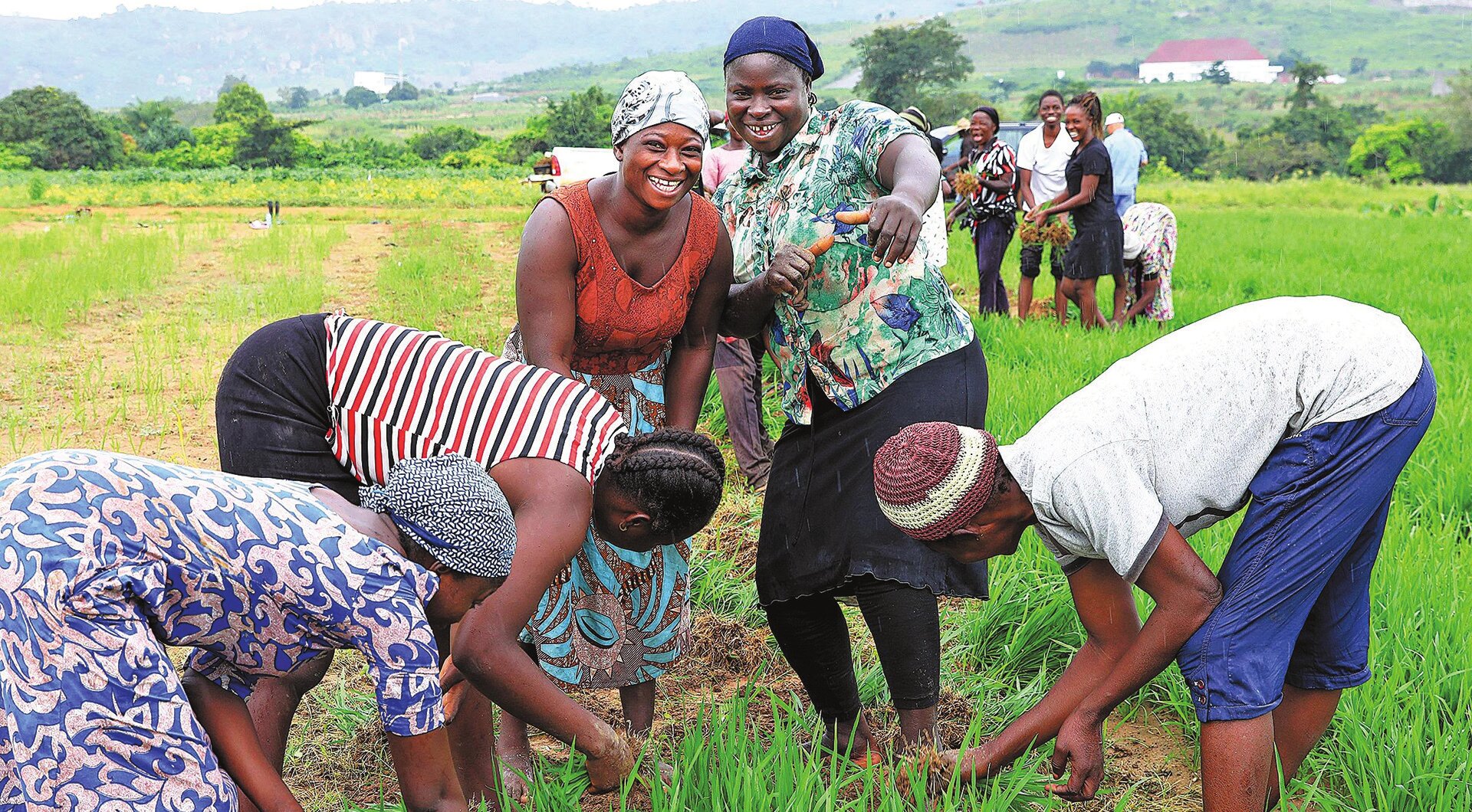 19 September 2023, Abuja, Nigeria. Local workers at the Nigerian Agricultural Technology Demonstration Centre displaying the rice seedlings they harvested (Photo: Xinhua, 2023).