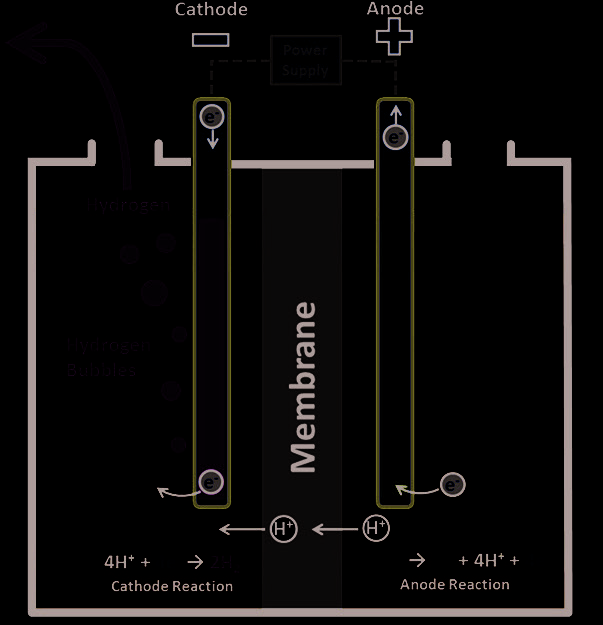 Figure 5. Alkaline Electrolysis Cell