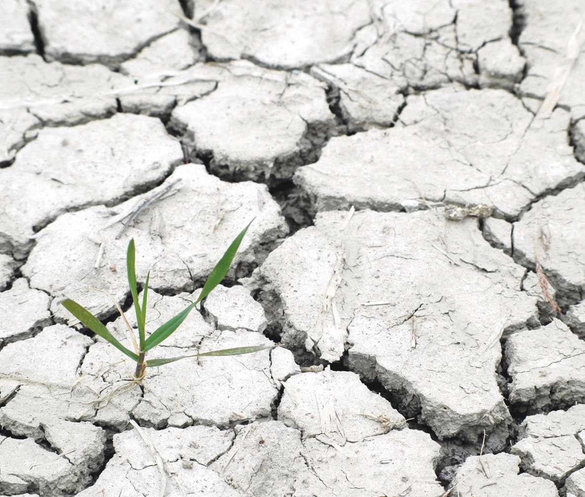 Climate change affects both nature and people’s social lives.
