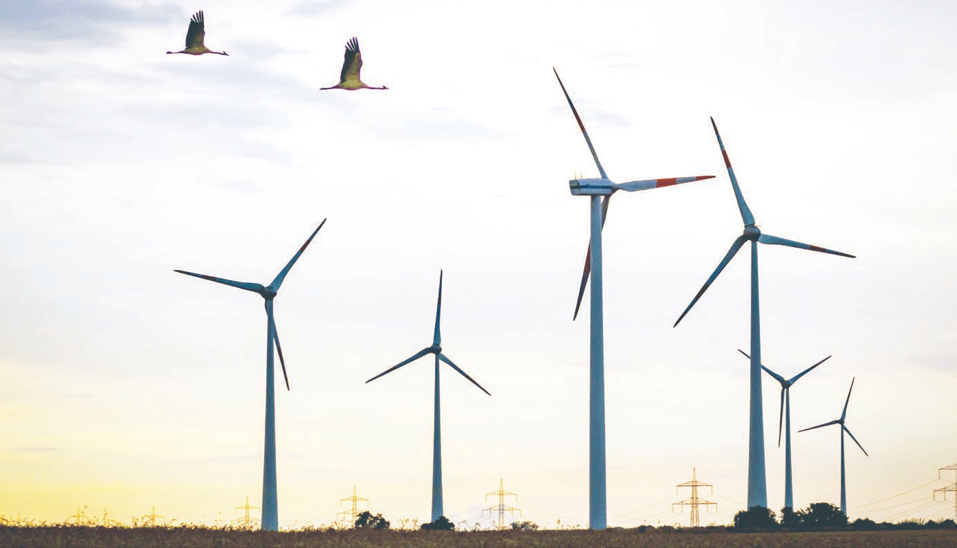Turkey clearly recognizes the need to strengthen ties between the environment and future generations on the road to “green development”.