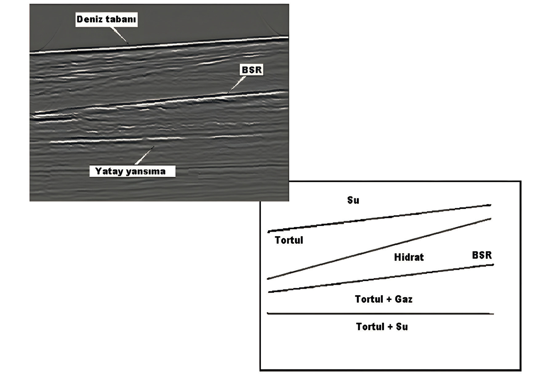 Figure 3. Geophysics, seismic reflection section interpretation showing bottom-simulating reflector (BSR) as an indicator to identify gas hydrates in marine sediments (Figure: Çifci et al., in press).