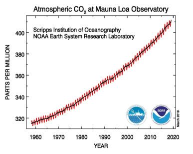 Grafik 1: Atmosferde birikmiş CO2 konsantrasyonu - yıllara göre değişim 